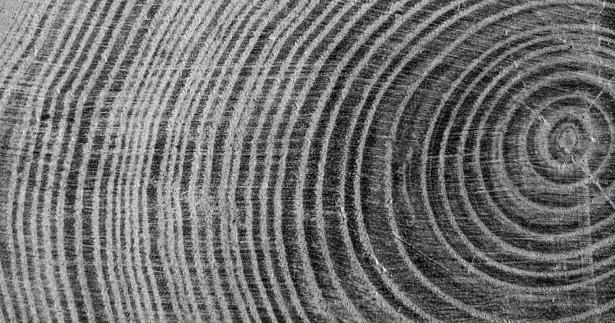 Growth rings on the cut face of a tree trunk